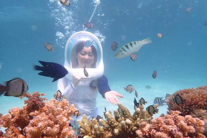 Panglao: Helmet Diving Experience with Photos and Videos - What to Expect During Your Helmet Diving Adventure