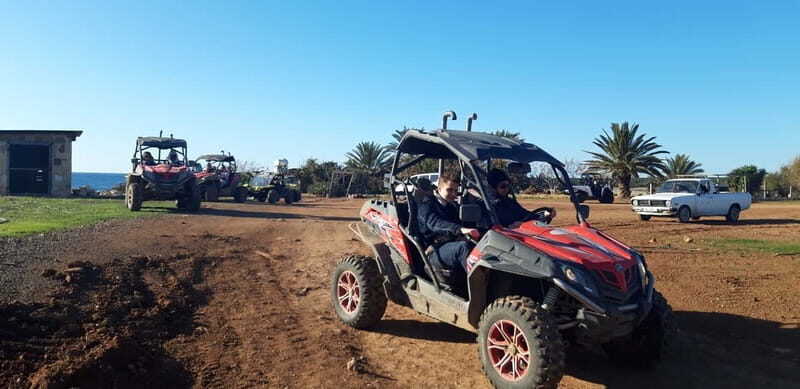 Paphos: Buggy Safari to Akamas Peninsula with Lunch - Lara Bay: A Natural Wonder