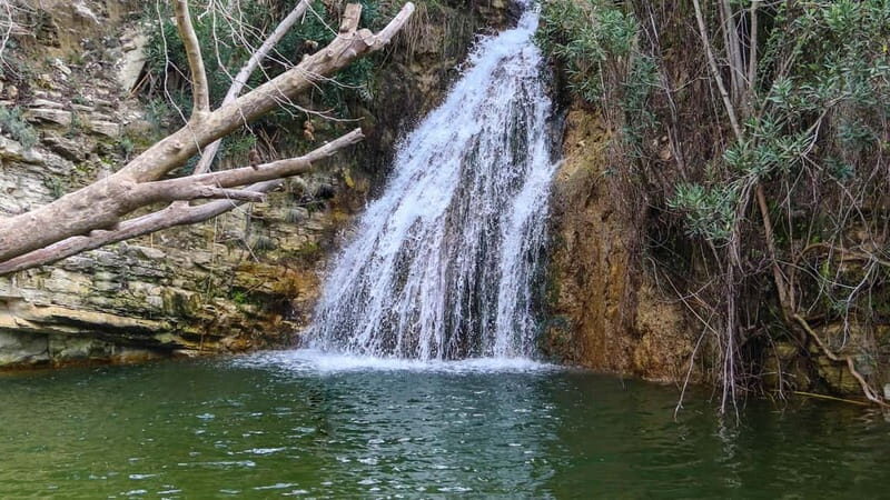 Paphos: Half Day Jeep Tour Akamas Peninsula (Private) - Why This Tour Offers Good Value
