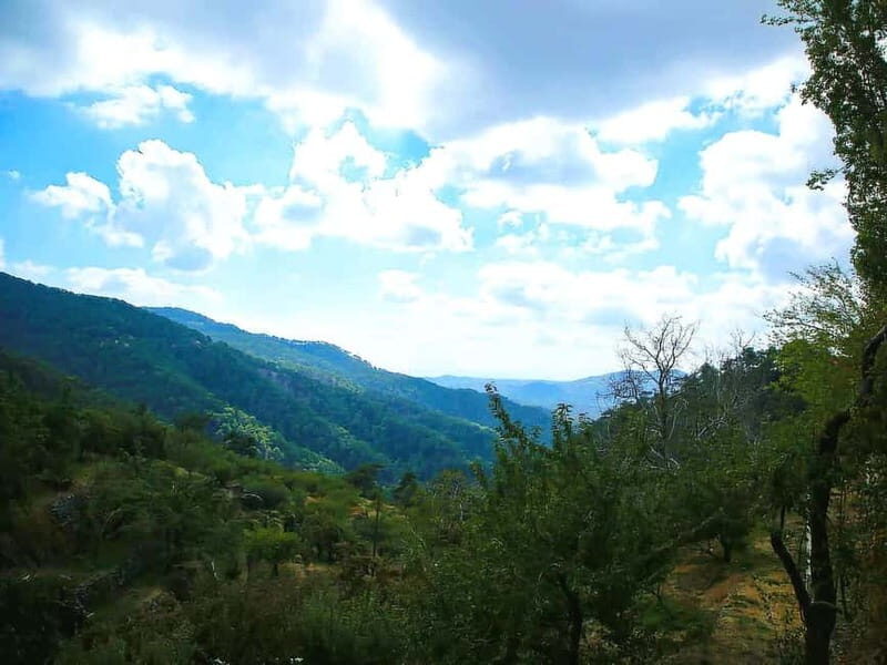 Paphos: Tour to Troodos, Kykkos Monastery, Omodos and Winery - Key Points