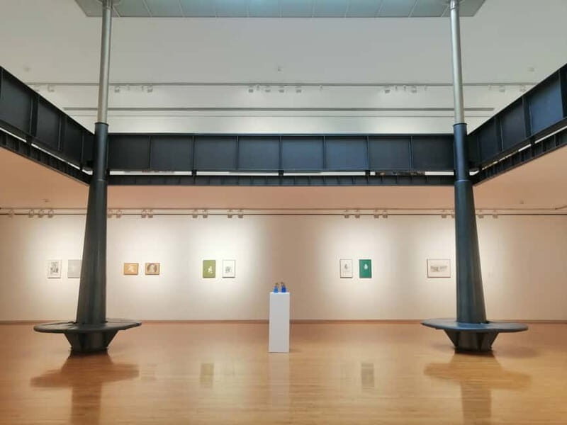 Picasso Museum, Walking Tour & Optional Wine Tasting Upgrade - Why This Tour Could Be Perfect for You