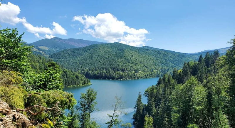 Pick-up from Cluj: e-Mountain Bike Tour Lake Dragan - Who Will Love This Tour?