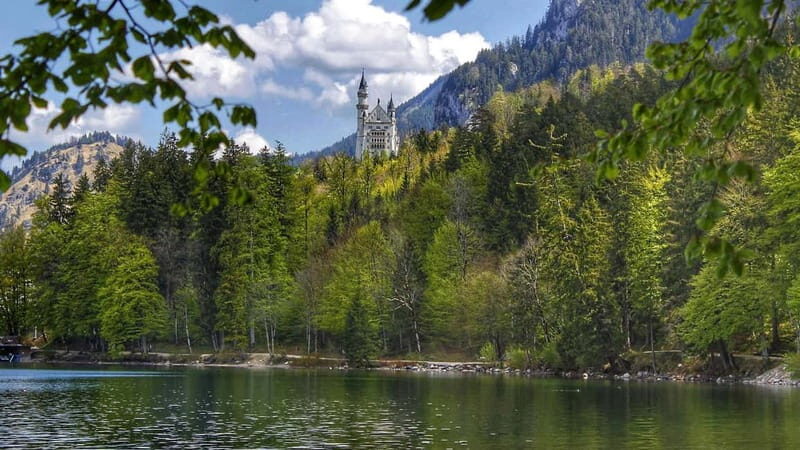 Pick-up from Munich: Hike to Neuschwanstein Castle - What’s Included and Whats Not