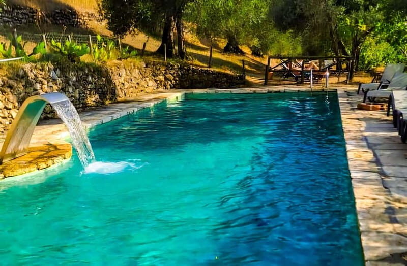 Pienza: Pool Day with Typical Gourmet Lunch at Farmhouse - What to Expect from the Day