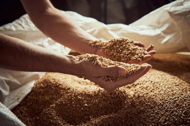 Pienza: tour of the mill with oil and wine tasting - Discovering the Heart of Tuscany’s Food Traditions