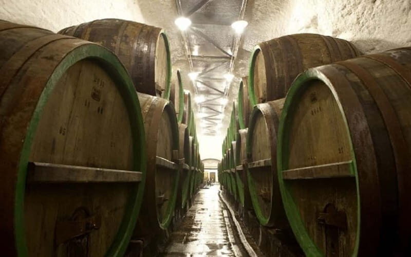 Pilsner Brewery & Nizbor Glass Factory Combination Tour - A Deep Dive into the Tour Experience