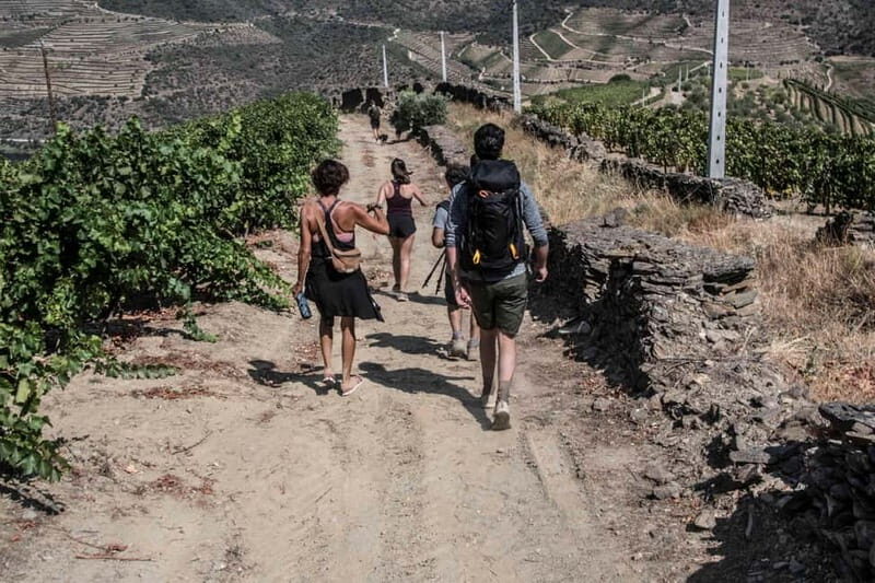 Pinhão: Douro Valley Guided Hike - What Makes This Hike Special?