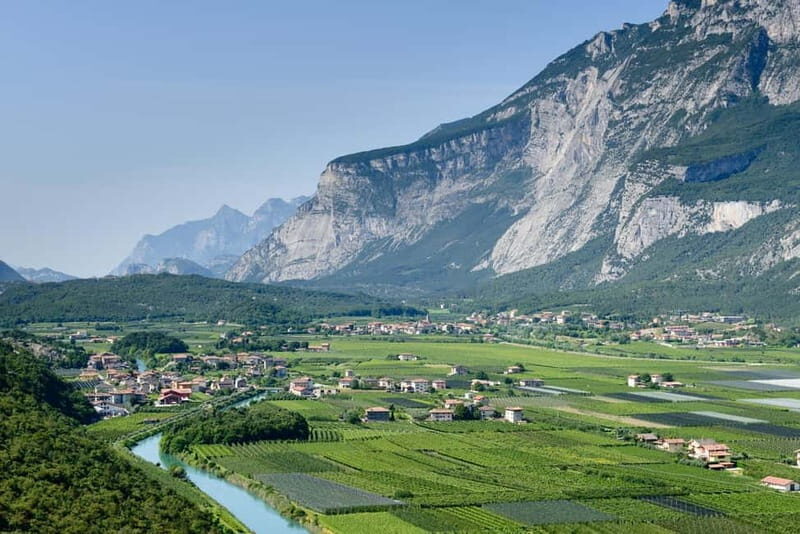Pisoni: Stories of wine and flavors - Who Should Consider This Tour?