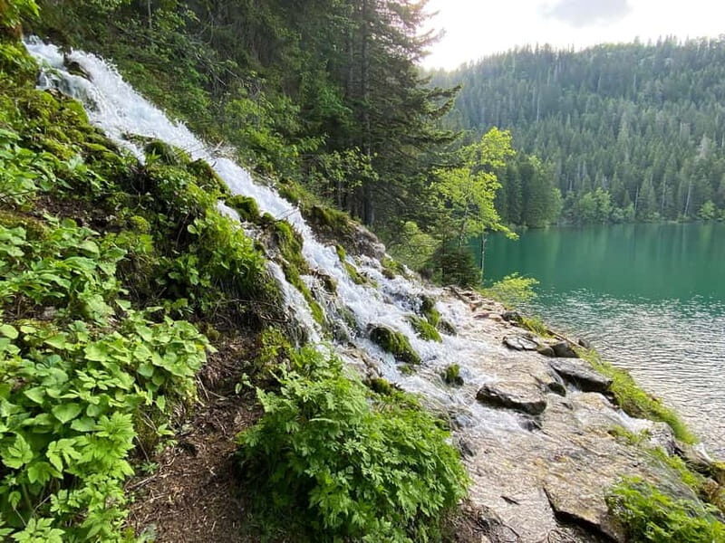 Podgorica: Durmitor National Park- Tara river, bridge & lake - What’s Included and What You’re Paying For
