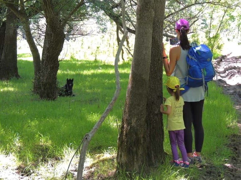 Podgorica Historic, Safari and Winery tour - Skadar lake - Practical Details and Experience Breakdown