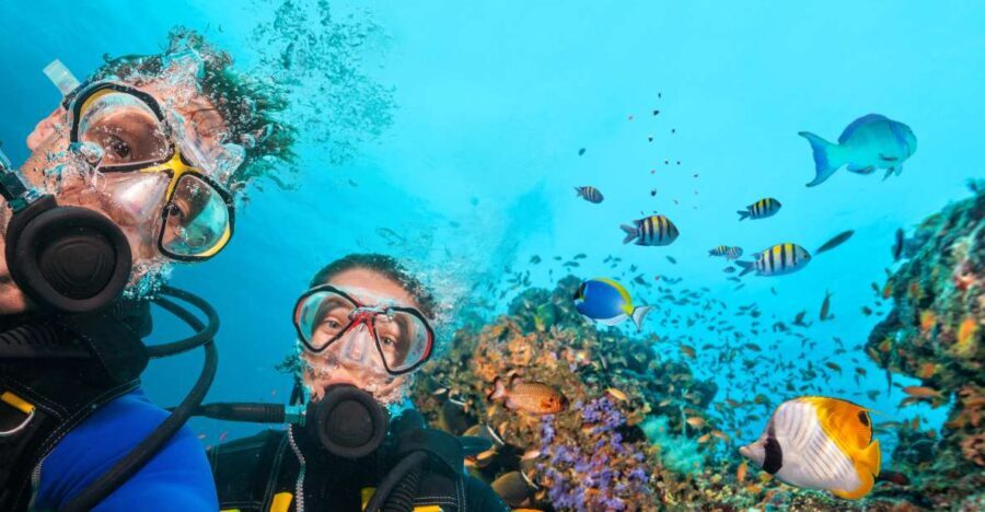 Polignano a Mare: Scuba Experience with certification - The Value of Guided and Small-Group Diving