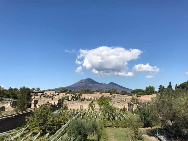 Pompeii: Exclusive Tour with Archaeologist and Entry Tickets - Who Is This Tour Best For?
