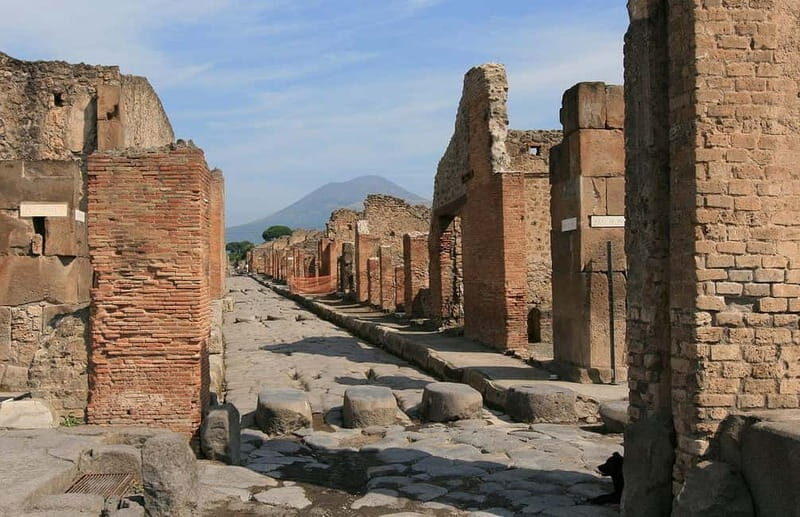 Pompeii Ruins: Guided Tour from Positano - The Itinerary in Detail