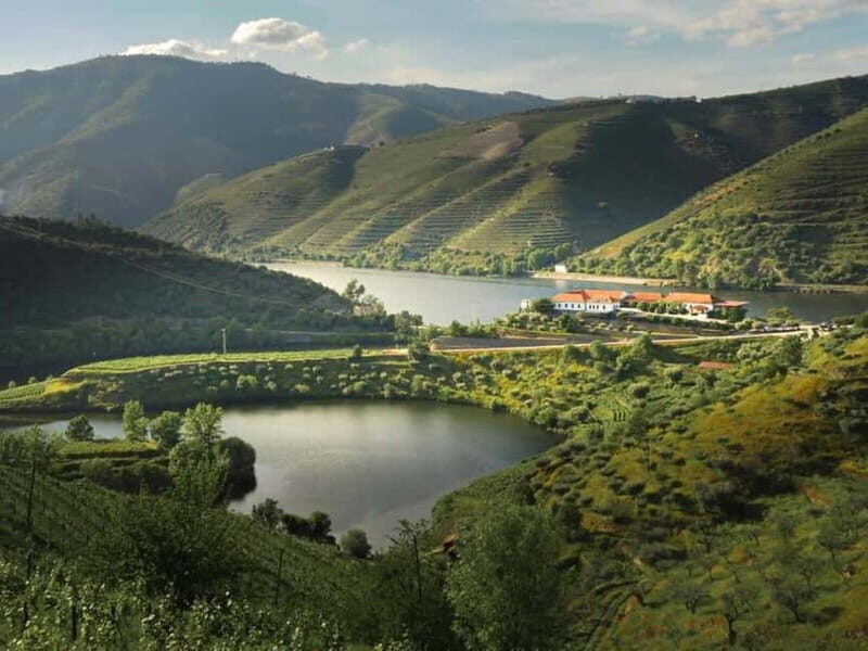 Porto: Dão Wineries Tour with Wine Tasting, Lunch and Cheese - Why This Tour Offers Good Value