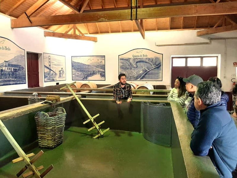 Porto: Douro Valley, 2 Wineries, Lunch & Private Boat Trip - The Small-Producer Winery Visits