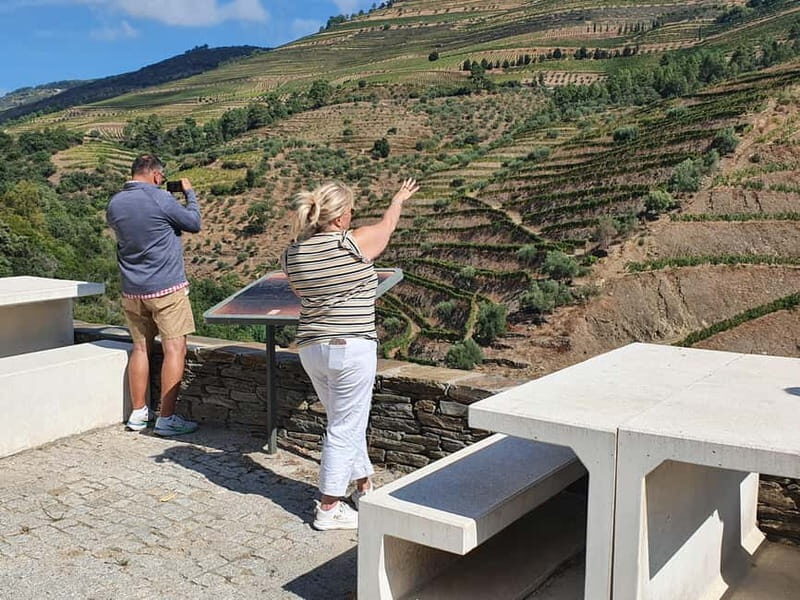 Porto: Douro Valley Private Tour with Winery Visit & Lunch - Visiting a Historic Winery: Sipping over Three Centuries of Tradition