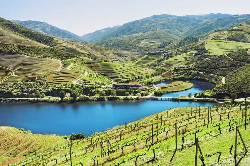 Porto: Douro Wine Tour with Lunch and River Cruise - Why This Tour Is a Great Choice