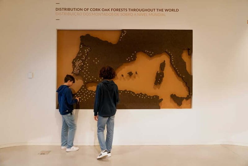 Porto: Entry Ticket at WOW - Planet Cork Museum - What Makes This Tour Stand Out?