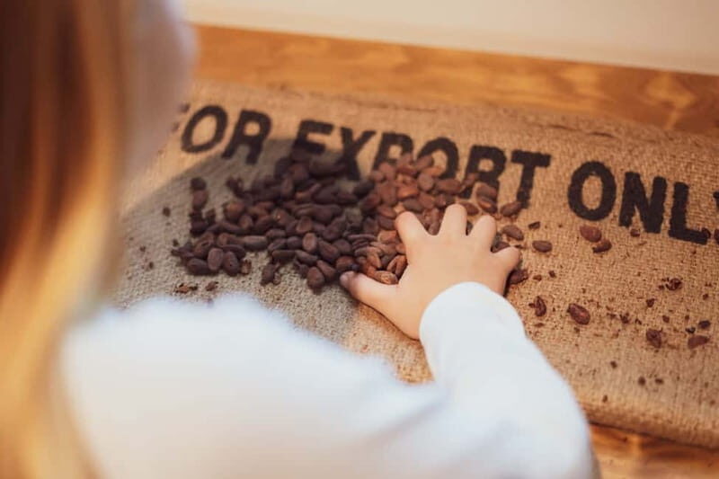 Porto: Entry Ticket at WOW The Chocolate Experience by 20|20 - An In-Depth Look at the Experience