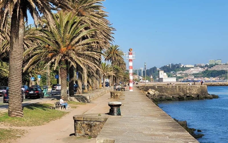 Porto-Gaia-Matosinhos: Private Half-Day Panoramic Tour - What to Expect on the Tour