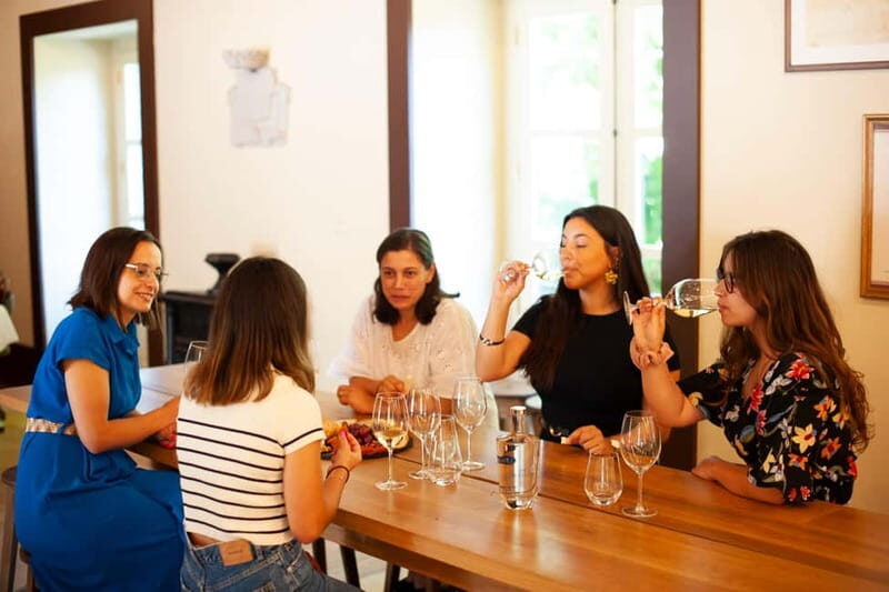 Porto: Qta da Aveleda Enchanted Gardens & Green Wine - The Green Wine Experience