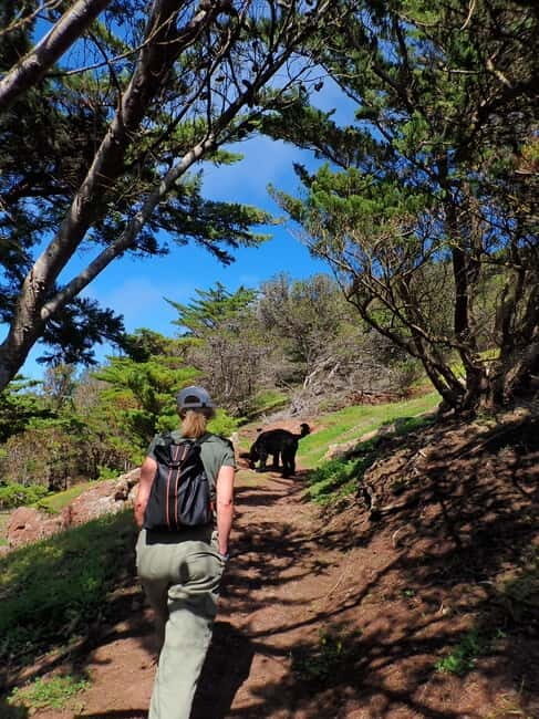 Porto Santo Island: Pico do Facho Panoramic Trail - The Itinerary Breakdown