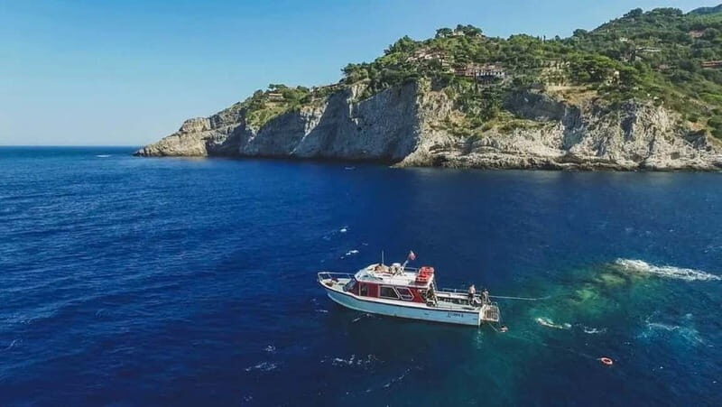 Porto Santo Stefano: Snorkeling Day Trip with Lunch - Who Would Love This Tour?