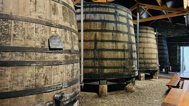 Porto to Gaia Experience: City Walk and Wine Cellars - The Wine Experience: A Highlight of the Tour