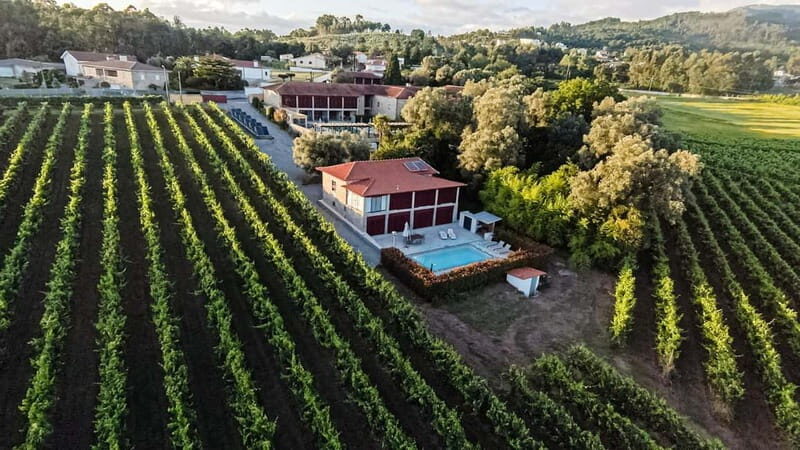 Porto Tour: Vinho Verde / Braga / Guimarães - What Makes This Tour Stand Out
