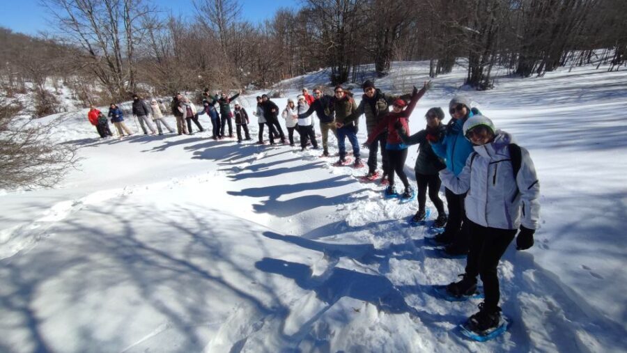 Potenza: Guided Mountain Walking Tour with Snowshoes - What This Tour Means for Travelers