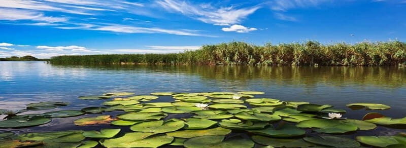 PREMIUM TOUR SMALL GROUP From Bucharest to the Danube Delta - Authentic Experiences and Traveler Feedback