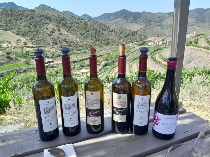Priorat tour to 3 small wineries and hotel pick-up - The Itinerary in Detail: What Makes It Special