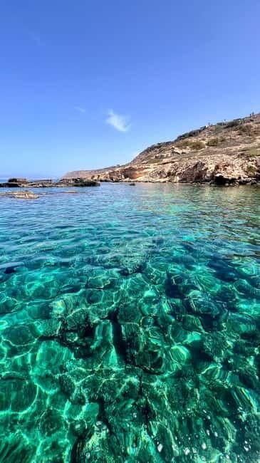 Private Boat Trip Playa de Palma Marine Reserve - What You Can Expect on This Trip