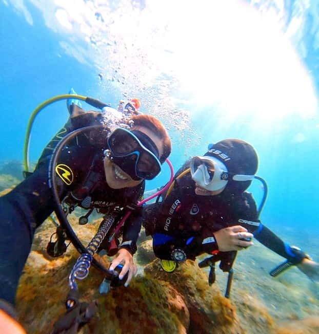 Private Eco Scuba Diving in Tenerife: no crowds and no rush - What to Expect on Your Private Eco Dive