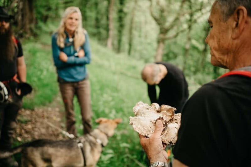 Private Hike: Brecon Beacons Henrhydd Falls Plus Foraging - A Deep Dive Into the Brecon Beacons Foraging and Waterfalls Tour