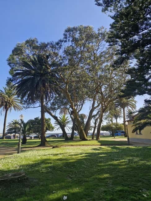 Private Porto City Tour with Seafood Lunch and Coastal Views - Scenic Drive Along the Matosinhos Coastline