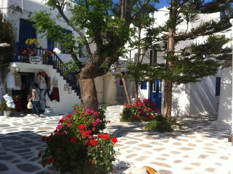 Private: Taste of Mykonos: Panoramic Views & Local Delights - A Closer Look at the Details