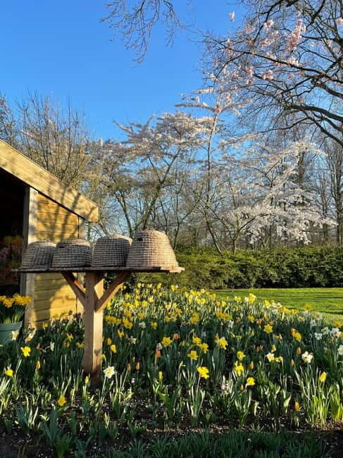 Private Tour, Tesla from Amsterdam: Keukenhof & Tulip Fields - The Itinerary in Detail