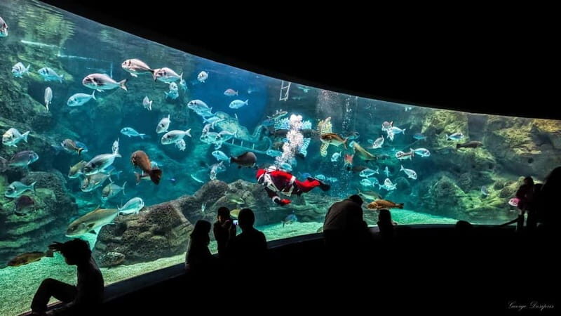 Private Trip From Rethymno to Dinosauria Park & Cretaquarium - What You Can Expect at Dinosauria Park