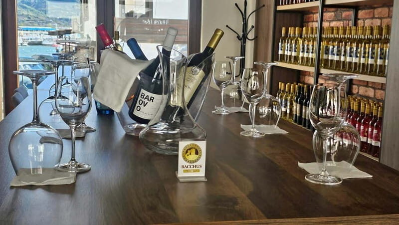 Private Wine Tasting Ohrid - An In-Depth Look at the Experience