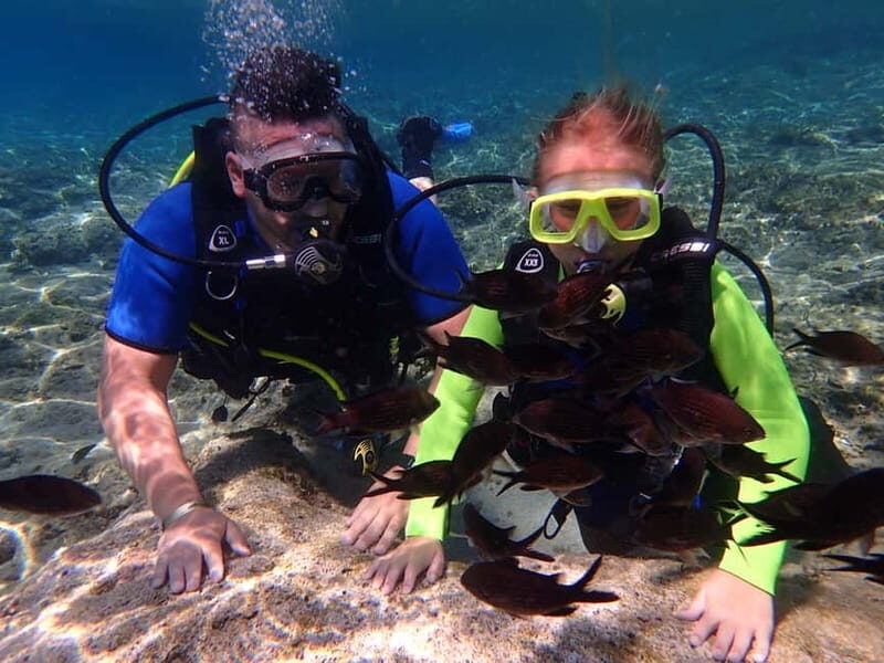 Protaras: Bubblemaker Diving Course & 2-Meter Dive - What the Tour Includes and What to Expect