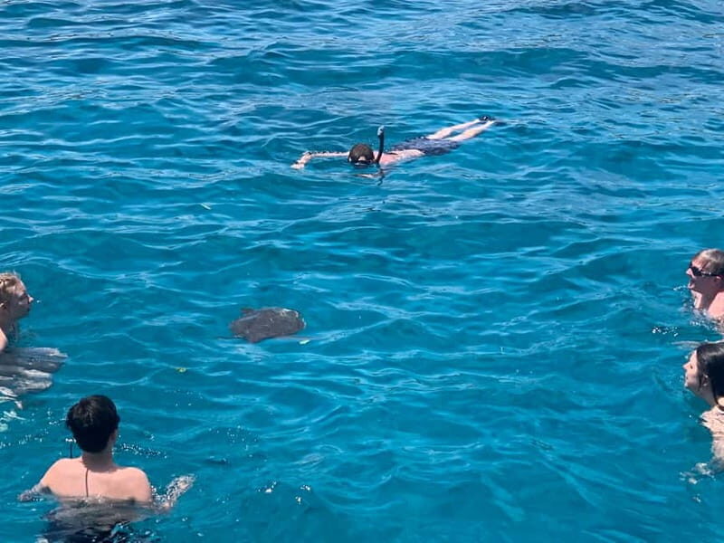 Protaras: DREAM of TURTLES | Luxury Yacht | BBQ | 1 Drink - Practical Considerations and Value