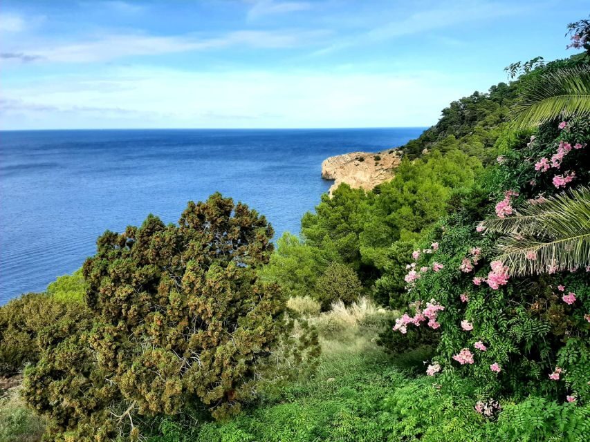 Puerto de San Miguel: Can Marçá Cave Guided Tour with Entry - The Itinerary Breakdown