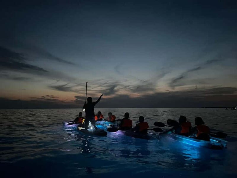 Pula: Sunset/Night Illuminated Transparent Kayak Tour - Why This Tour Is Special