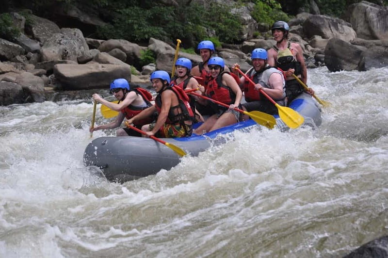 Rafting Tour, Transfer & Combo Options with Veg Lunch Option - Who Is This Tour Best For?