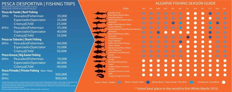 Reef Fishing in Vilamoura - The Value of Included Equipment and Support