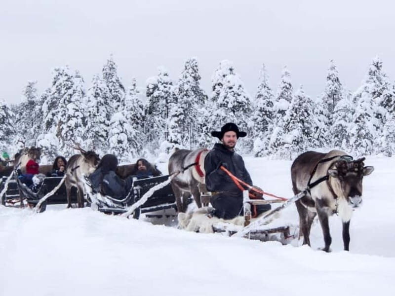 Reindeer Safari at a 200-Year-Old Farm & Long Sled Ride - Why This Tour Is a Great Choice