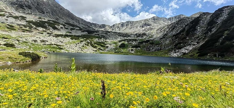 Retezat National Park: Full day hike from Cluj Napoca - The Itinerary in Detail