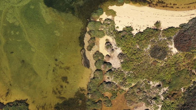 Ria Formosa: Armona and Culatra Islands 3-Hour Boat Tour - The Itinerary in Detail