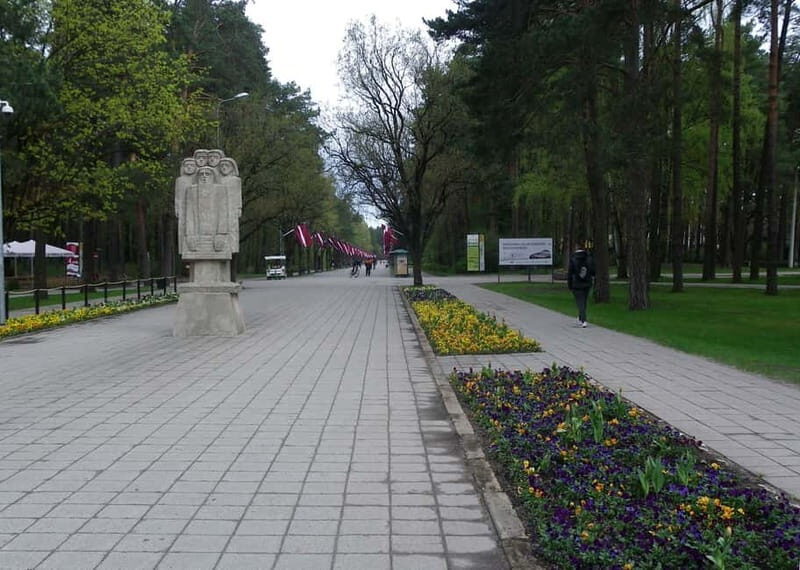 Riga: Green Spaces Bike Tour with Mezaparks and Old Town - What’s Included and Meeting Details
